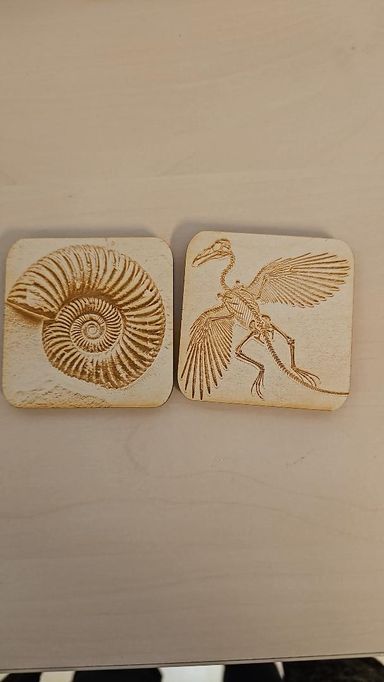 Magnete aus Holz mit Motiven aus Eichstätt